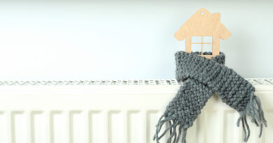 Gasmangel Im Winter: Der Kaminofen als sichere Alternative