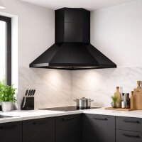 Dunstabzugshaube lackiert