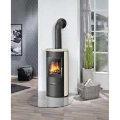 Kaminofen Justus Austin 5 - 5 kW