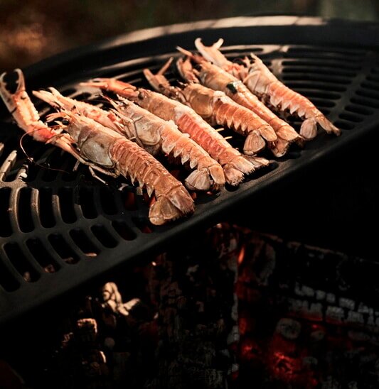 Morsoe Living - Grill ´17