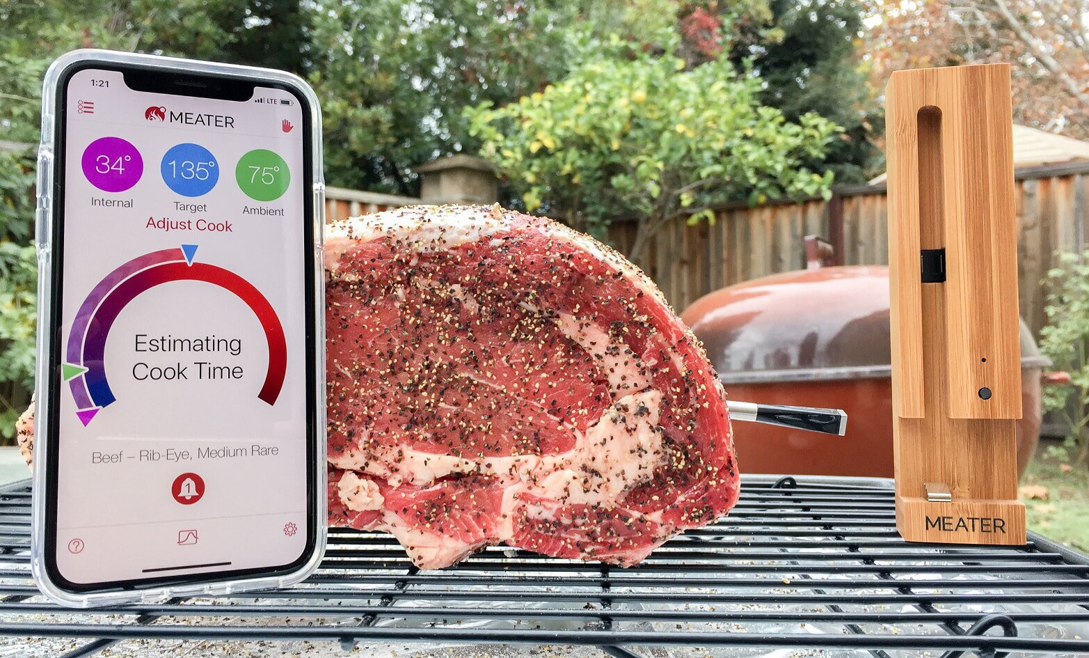 Meater - kabelloses Fleischthermometer mit Bluetooth - 10m Reichweite