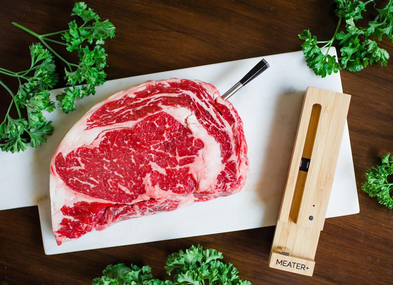 Meater - kabelloses Fleischthermometer mit Bluetooth - 10m Reichweite