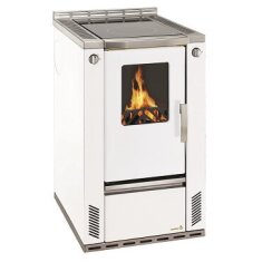 Wamsler Feuerrungstür in Korpusfarbe