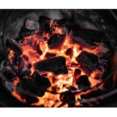 Big Green Egg - Feuerkorb (Fire Bowl) f&uuml;r XL