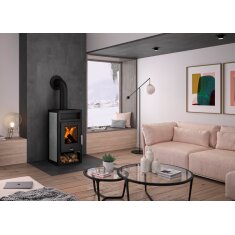 Kaminofen Justus Texas V - 6 kW - Stahl Schwarz -...