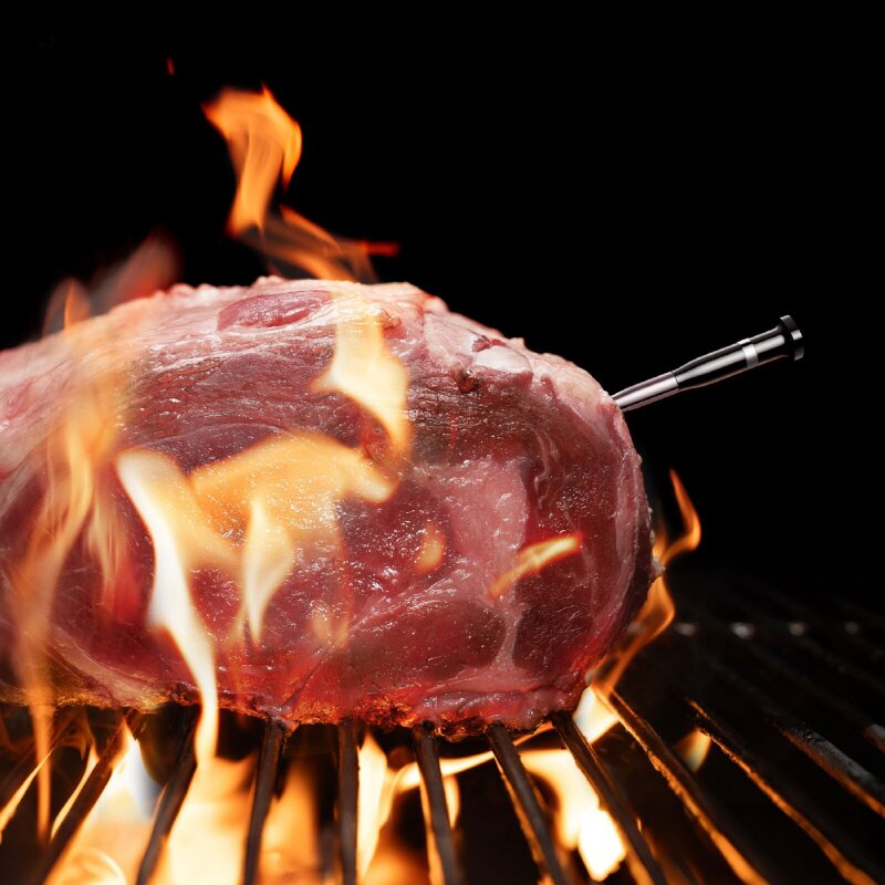 Typhur Sync One - 1 Sonden Fleischthermometer - wireless