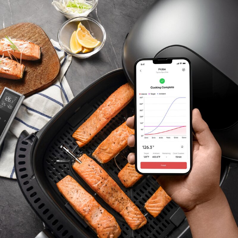 Typhur Sync One kabelloses Fleischthermometer mit 1 Sonde - wireless