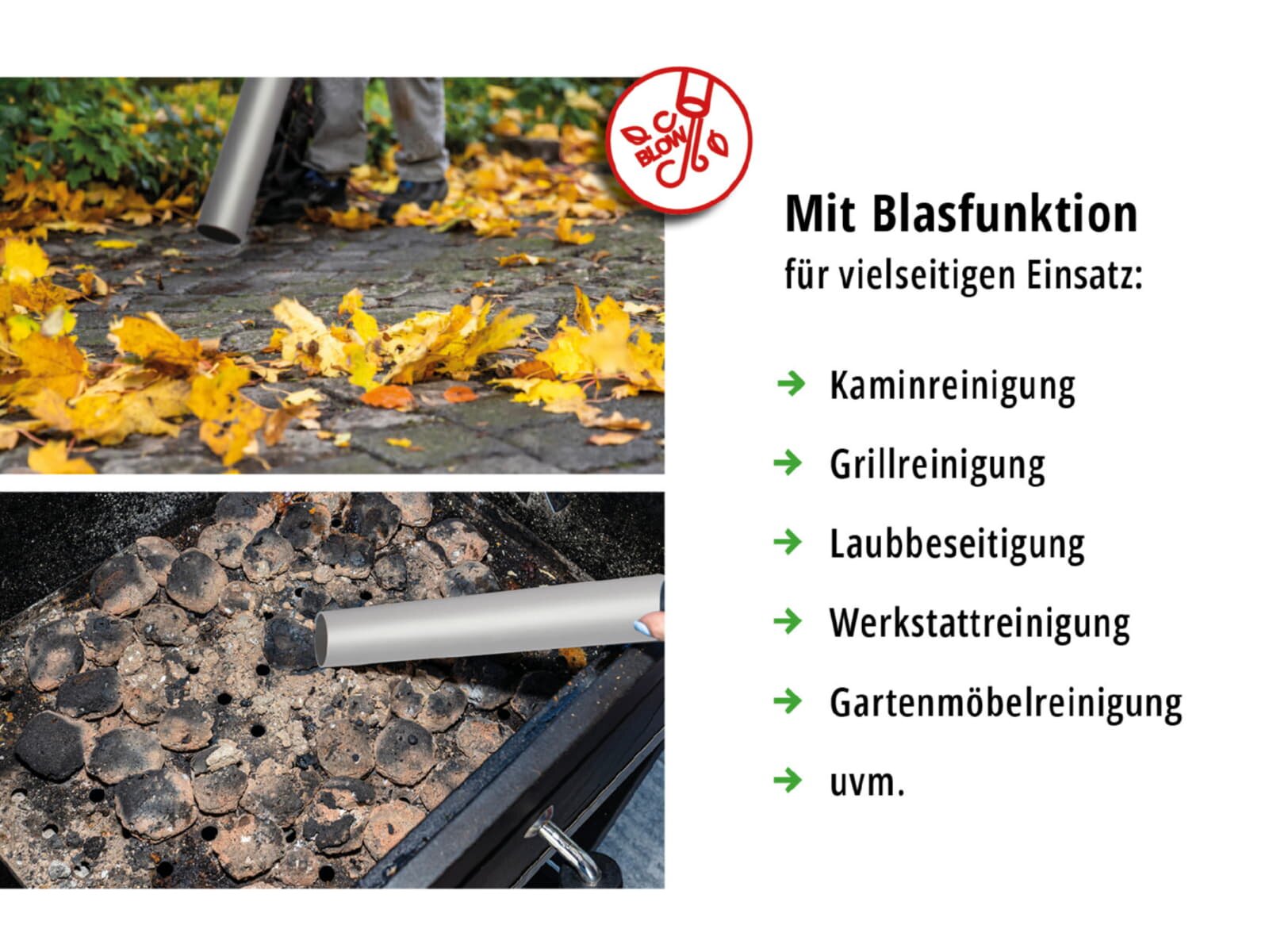 Valo Aschesauger Premium 1.800W, 20Liter, mit Abklopfmechanik, Schwarz