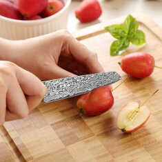 Zayiko Kinone - Officemesser Mukimono 10cm - Damastmesser aus schwarzem Stahl