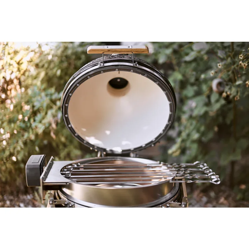 Monolith Motor 220V für Rotisserie