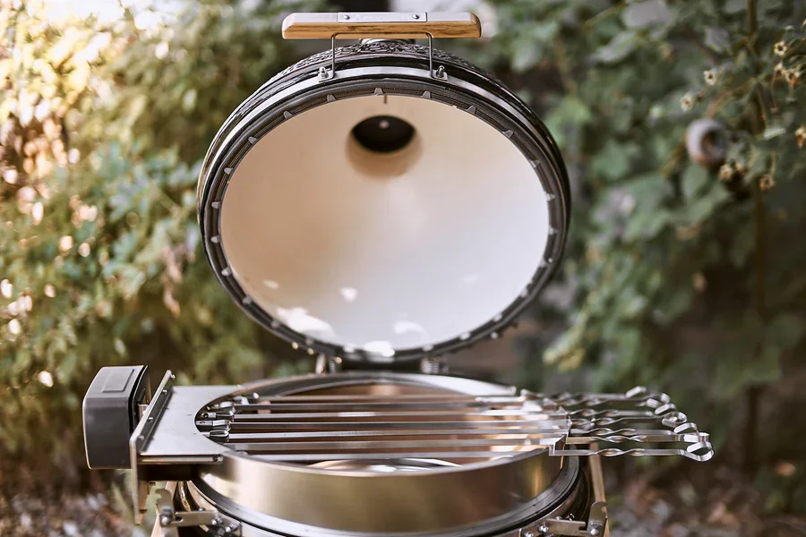 Monolith Motor 220V für Rotisserie