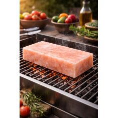 Slateex XL Himalaya Salzstein 20 x 10 x 5cm