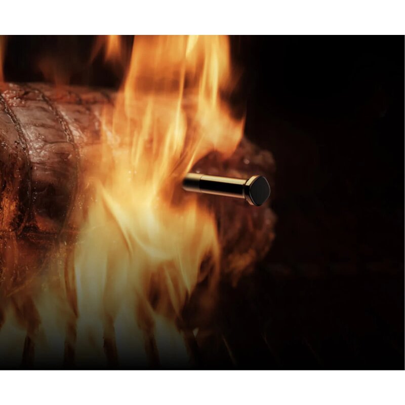 Typhur Sync Gold Dual - kabelloses Fleischthermometer mit 2 Sonden - wireless