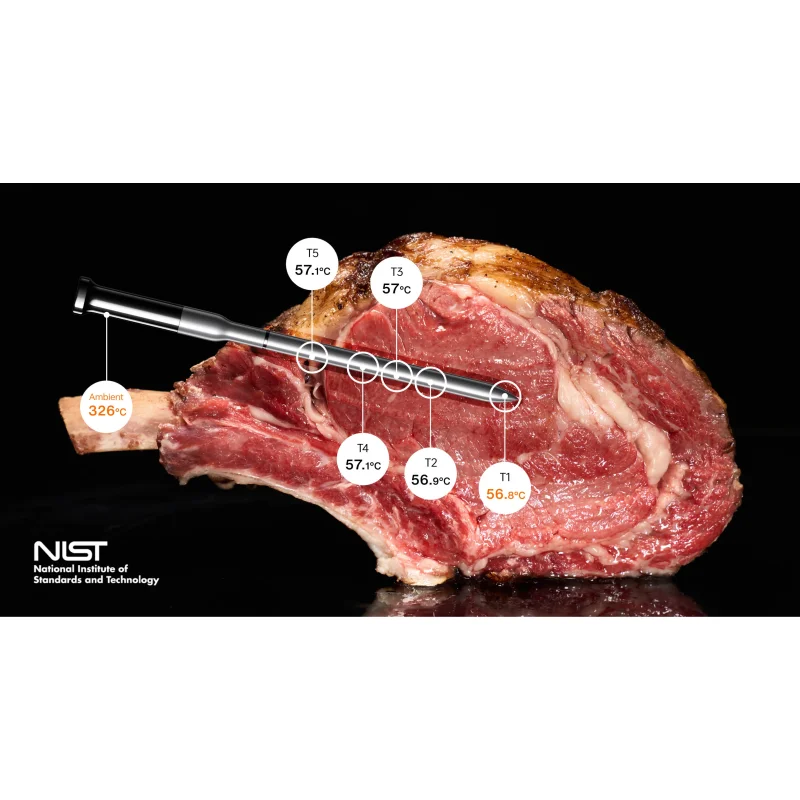 Typhur Sync Gold Dual - kabelloses Fleischthermometer mit 2 Sonden - wireless