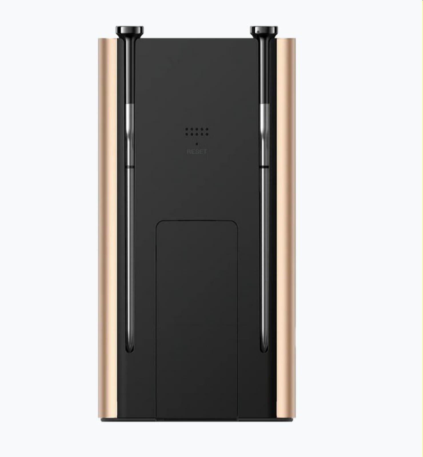 Typhur Sync Gold Dual - kabelloses Fleischthermometer mit 2 Sonden - wireless