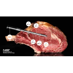 Typhur Sync Gold Quad - kabelloses  Fleischthermometer mit 4 Sonden - wireless