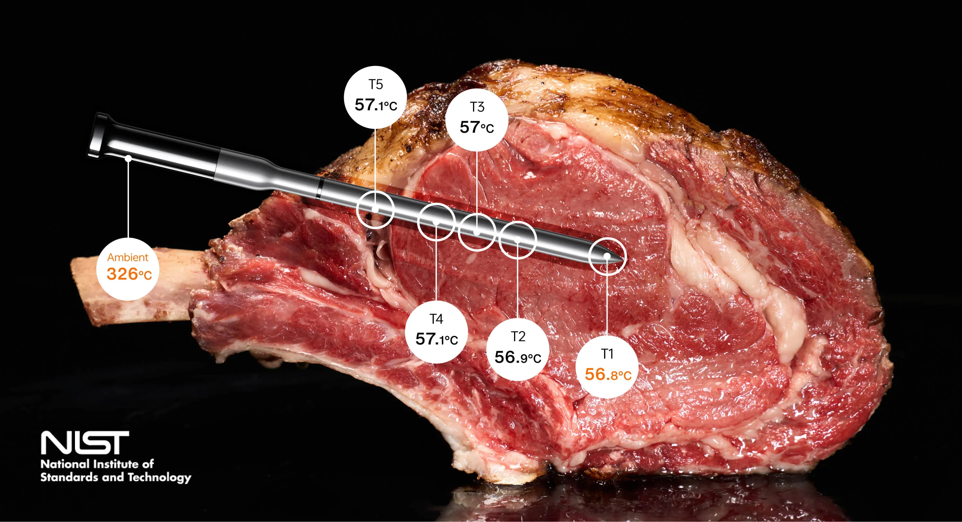 Typhur Sync Gold Quad - kabelloses  Fleischthermometer mit 4 Sonden - wireless