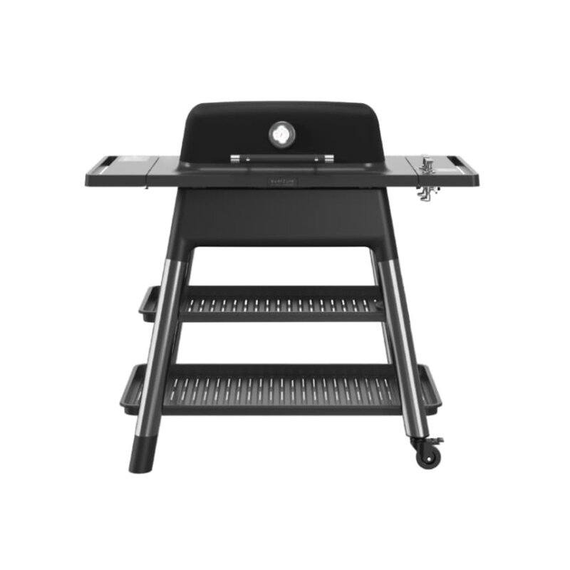 Gasgrill Everdure Force mit 2 Brennern