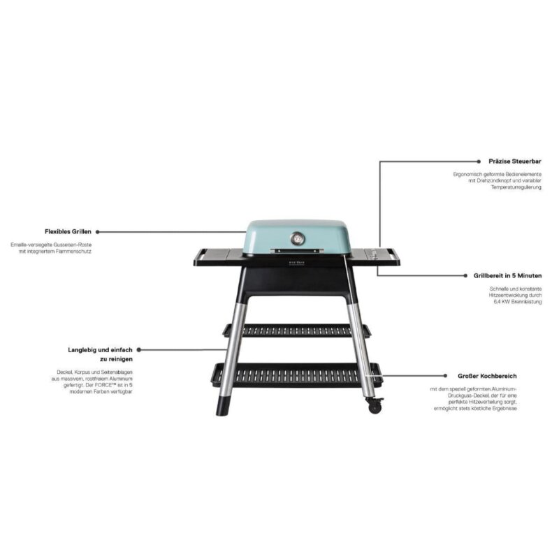 Gasgrill Everdure Force mit 2 Brennern
