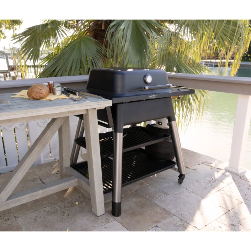 Gasgrill Everdure Force mit 2 Brennern