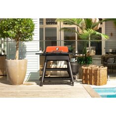 Gasgrill Everdure Force mit 2 Brennern