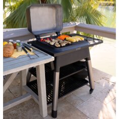 Gasgrill Everdure Force mit 2 Brennern