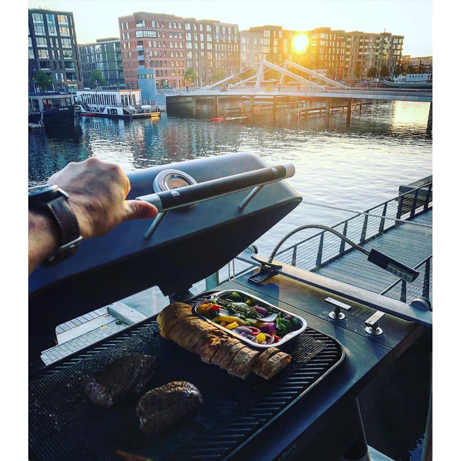 Gasgrill Everdure Force mit 2 Brennern - Black