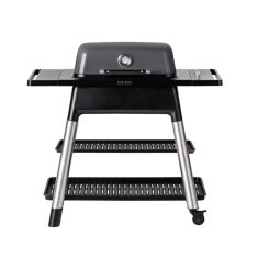 Gasgrill Everdure Force mit 2 Brennern - Graphite
