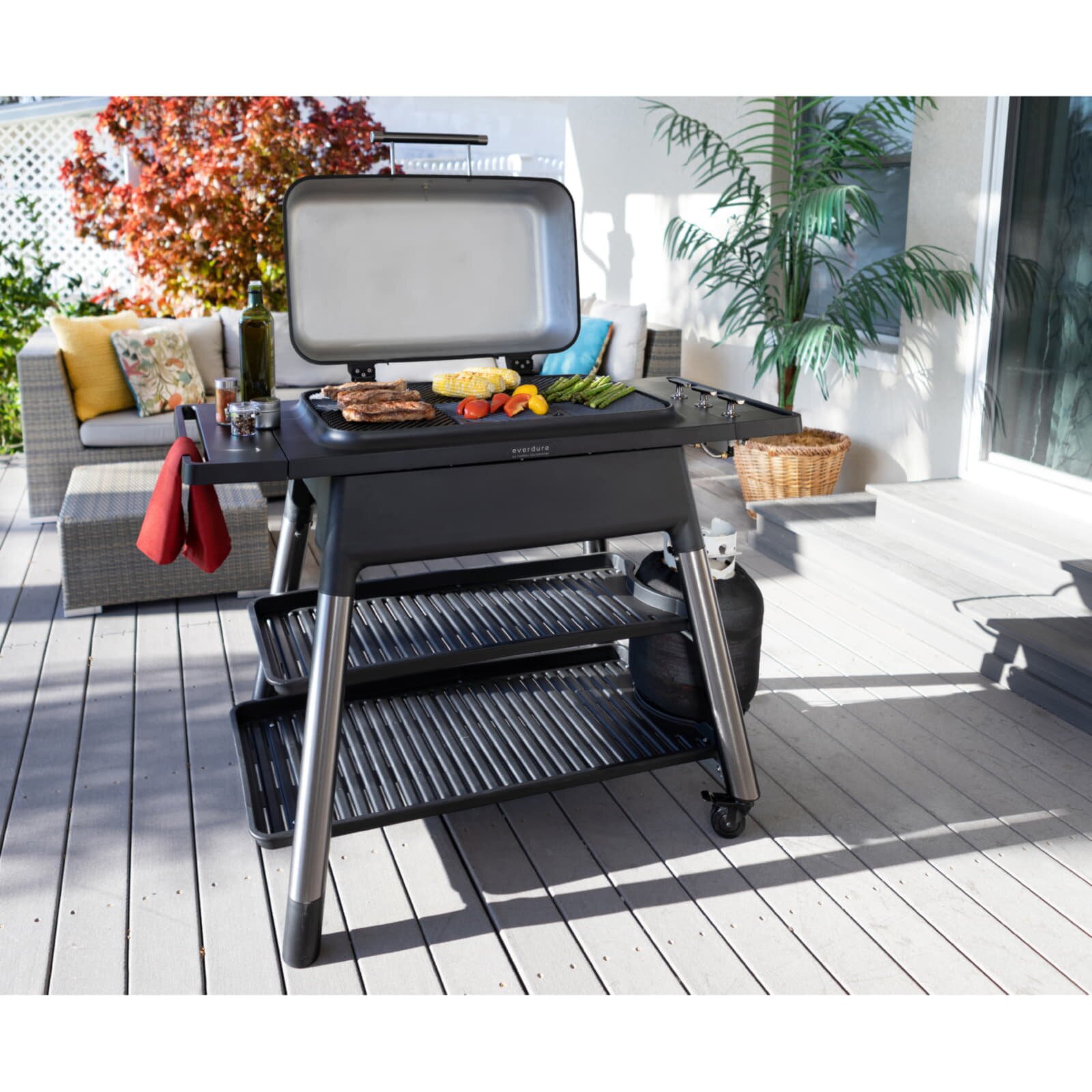 Gasgrill Everdure Furnace mit 3 Brennern