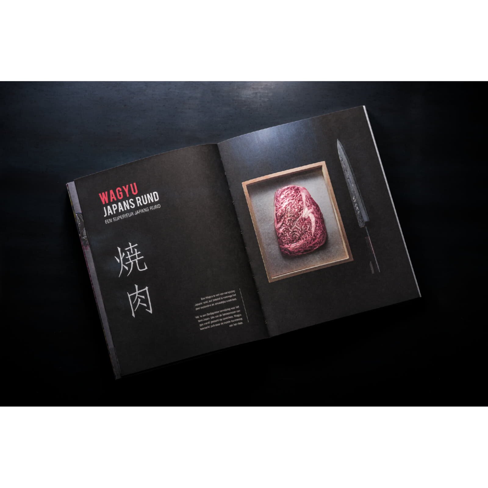 Yakiniku Kochbuch Magic of Yakiniku - Shichirin