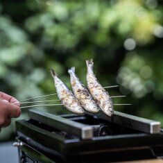 Yakiniku Yakitori- System, Trägersystem für Shichirin Spieße