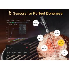 Typhur Sync Gold Lite - kabelloses Fleischthermometer mit 1 Sonde - wireless